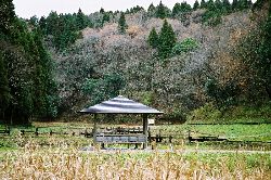 風景を細かく観察